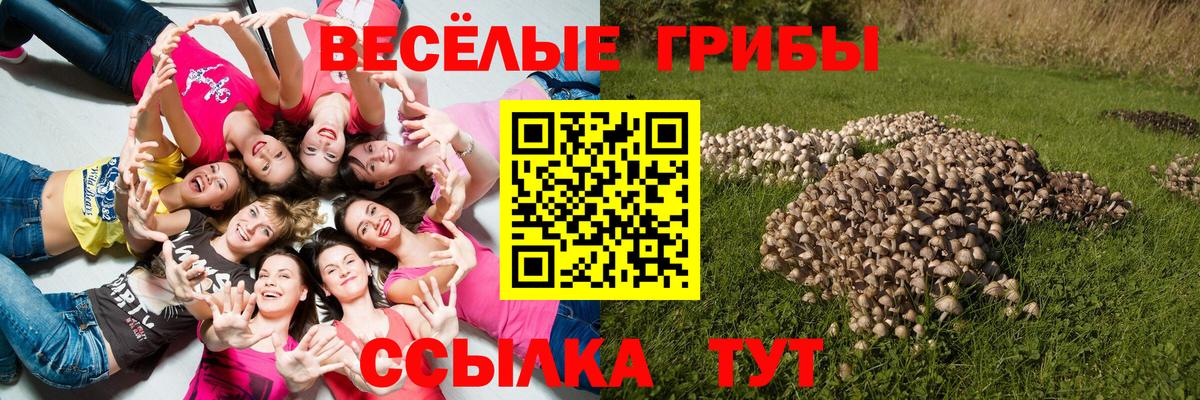 Галлюциногенные грибы GOLDEN TEACHER Каспийск