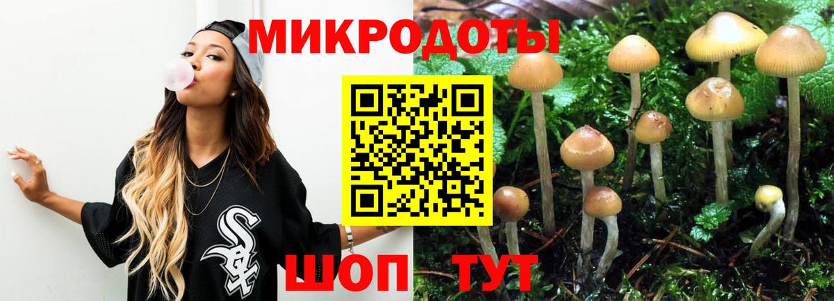 Галлюциногенные грибы ЛСД  Псилоцибиновые грибы Psilocybine cubensis  Каспийск  закладка  Вход с VPN 